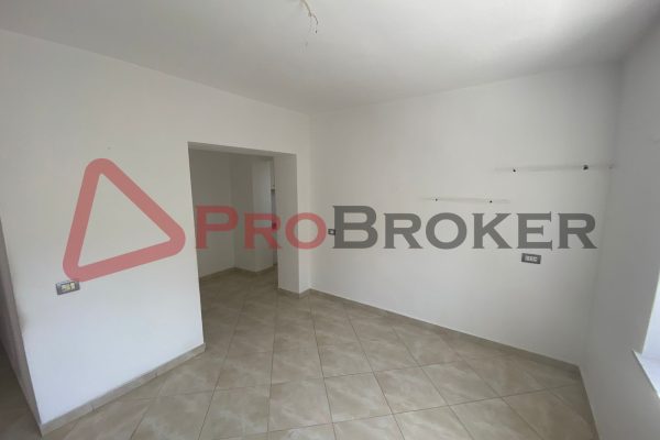 APARTAMENT 2+1 / NE SHITJE / Tek Xhamlliku / Prane “SHESHI SHTRAUS”